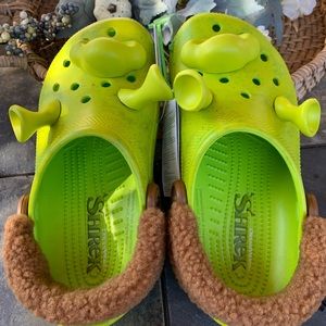 Classic Dreamworks Shrek Clogs
